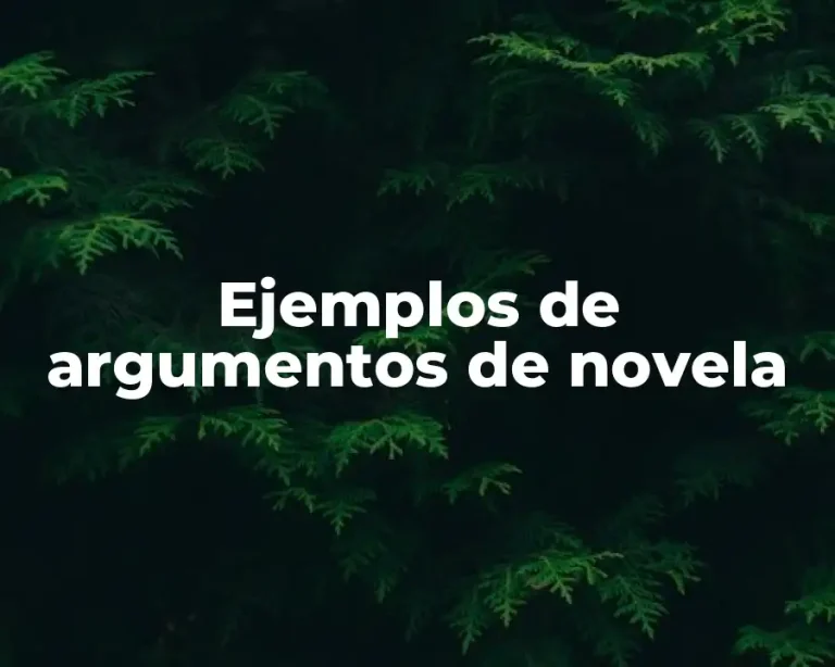 Ejemplos de argumentos de novela