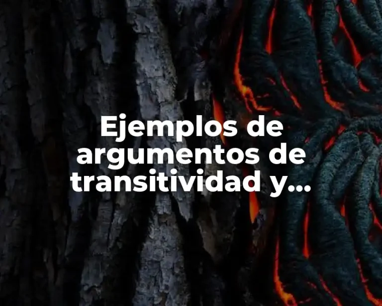 Ejemplos de argumentos de transitividad y Significado