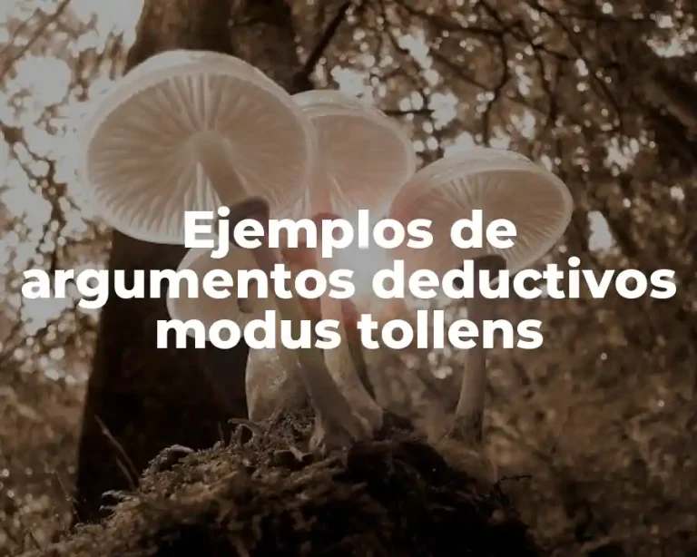 Ejemplos de argumentos deductivos modus tollens