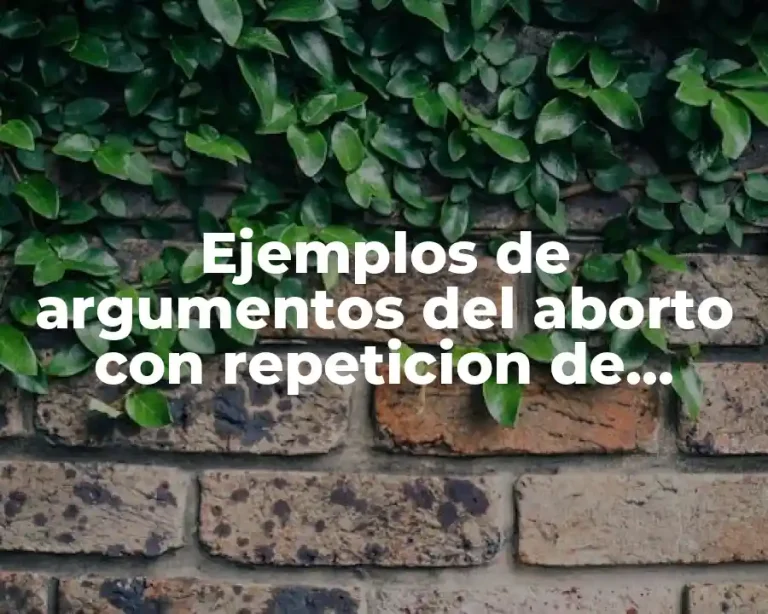 Ejemplos de argumentos del aborto con repeticion de palabras