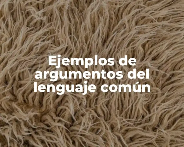 Ejemplos de argumentos del lenguaje común