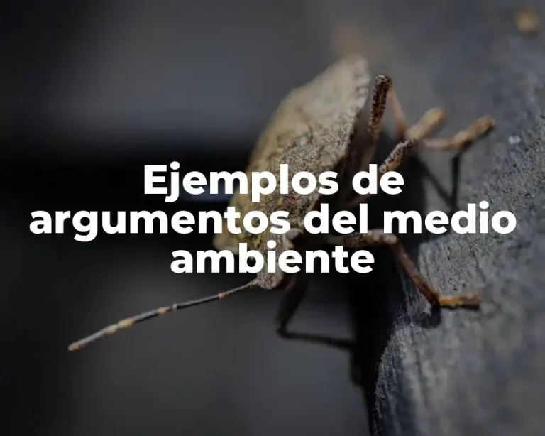 Ejemplos de argumentos del medio ambiente