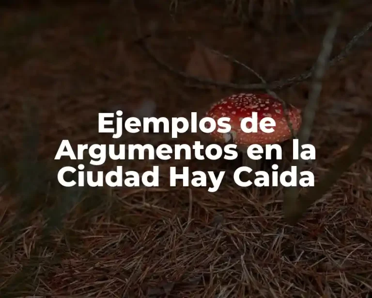 Ejemplos de Argumentos en la Ciudad Hay Caida