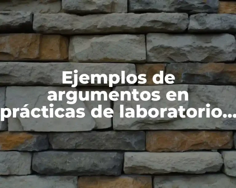 Ejemplos de argumentos en prácticas de laboratorio y Significado