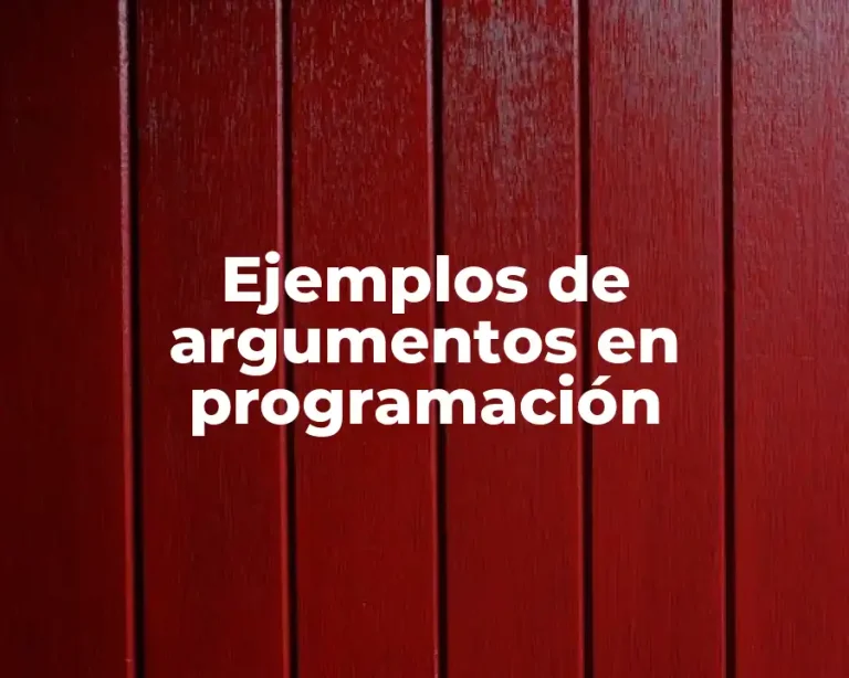 Ejemplos de argumentos en programación