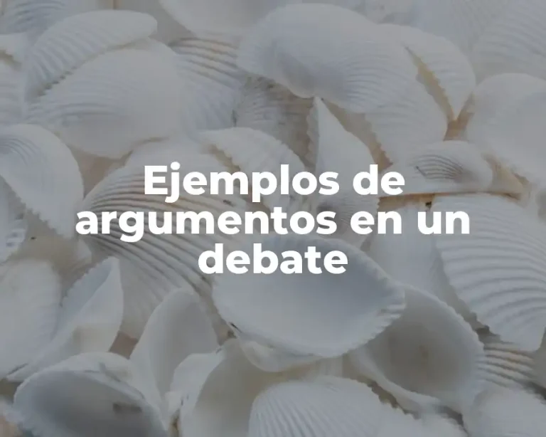 Ejemplos de argumentos en un debate
