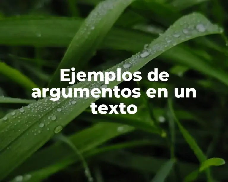 Ejemplos de argumentos en un texto