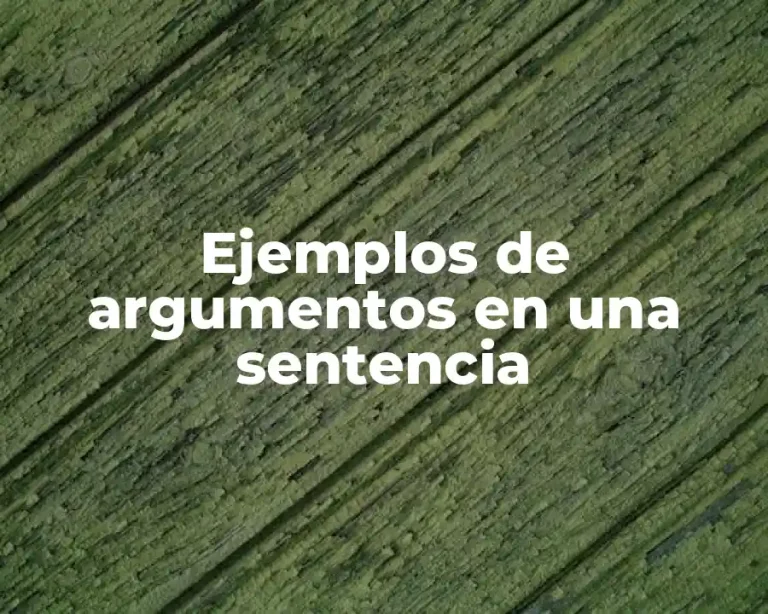 Ejemplos de argumentos en una sentencia