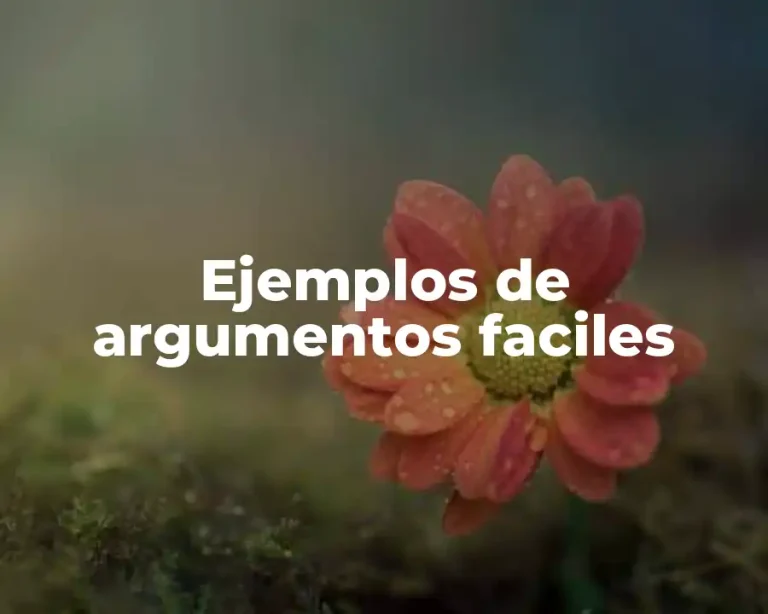 Ejemplos de argumentos faciles