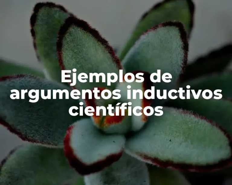 Ejemplos de argumentos inductivos científicos