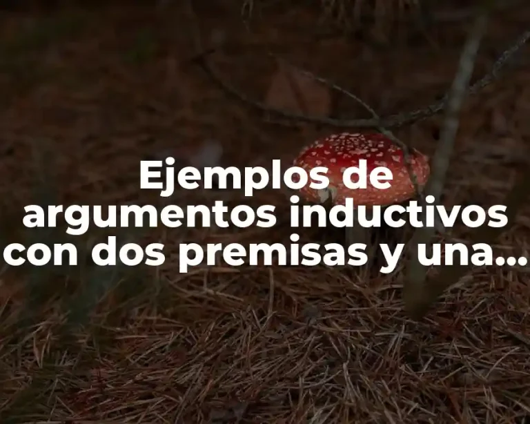 Ejemplos de argumentos inductivos con dos premisas y una conclusión