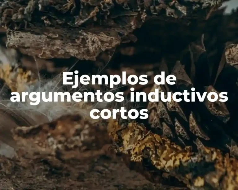 Ejemplos de argumentos inductivos cortos