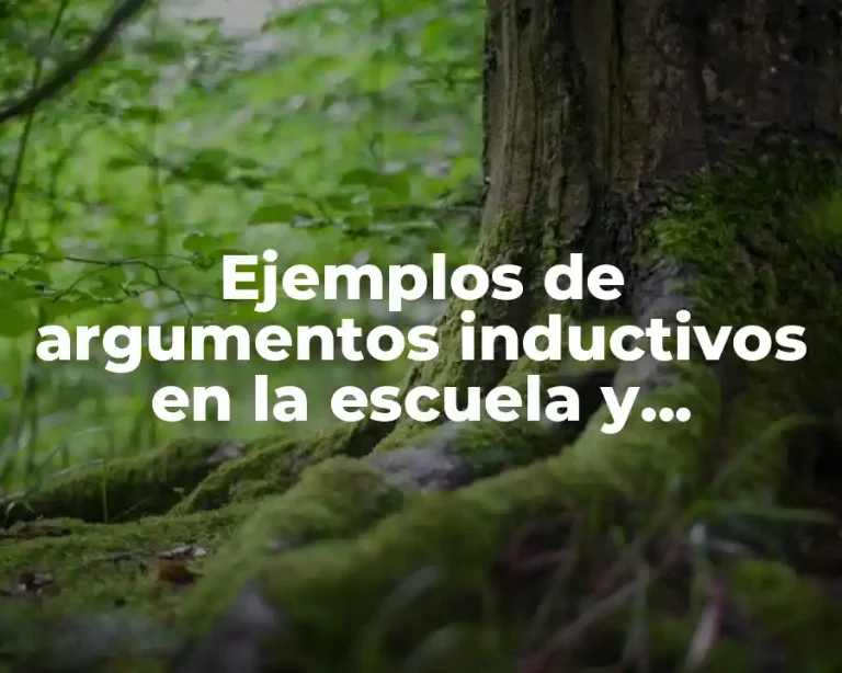Ejemplos de argumentos inductivos en la escuela y Significado