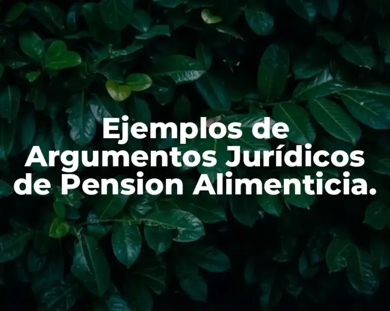 Ejemplos de Argumentos Jurídicos de Pension Alimenticia.