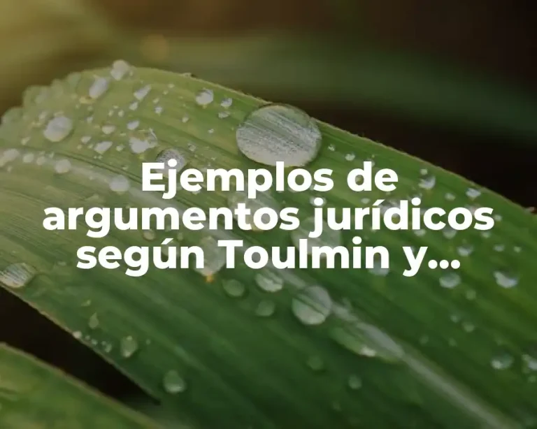 Ejemplos de argumentos jurídicos según Toulmin y Significado