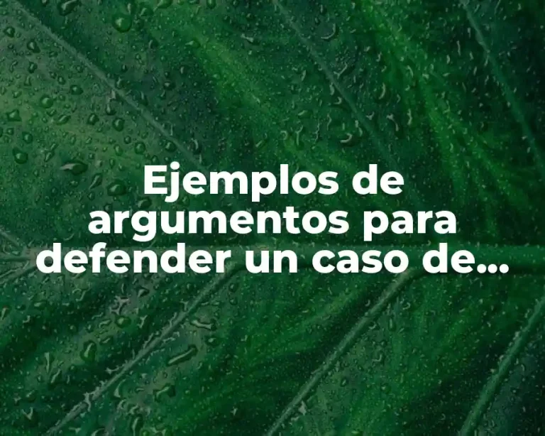 Ejemplos de argumentos para defender un caso de discriminación