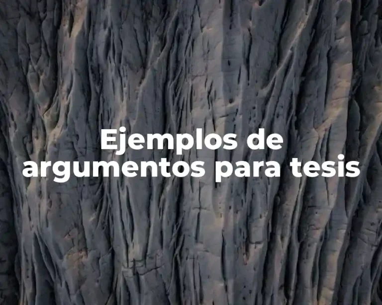 Ejemplos de argumentos para tesis