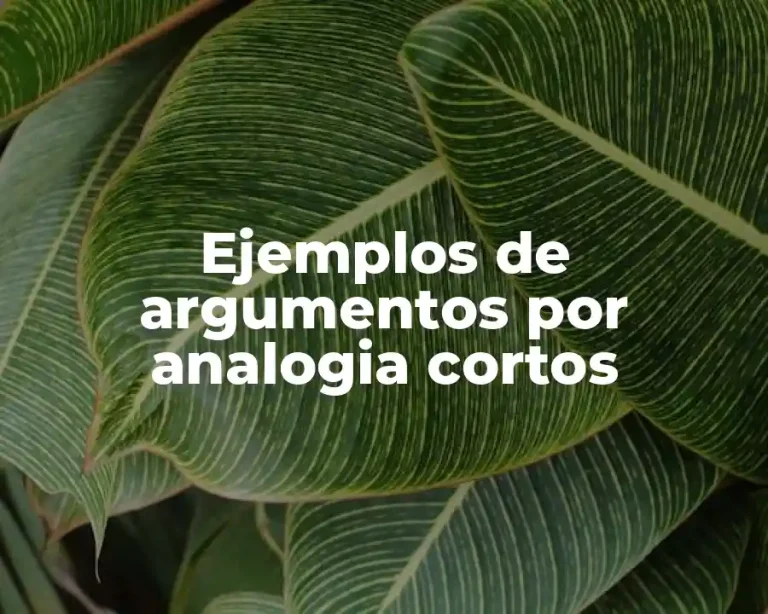 Ejemplos de argumentos por analogia cortos