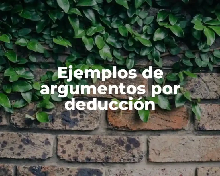 Ejemplos de argumentos por deducción