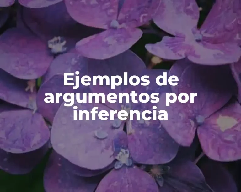 Ejemplos de argumentos por inferencia