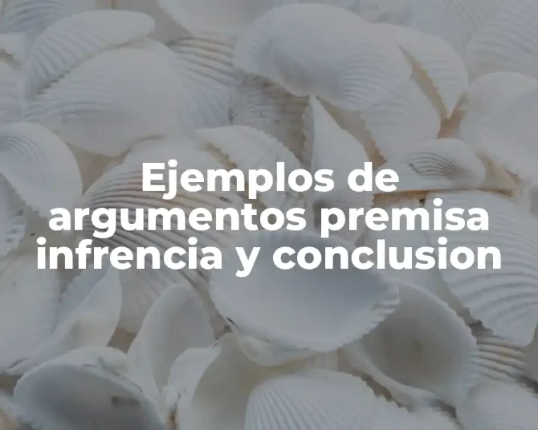 Ejemplos de argumentos premisa infrencia y conclusion