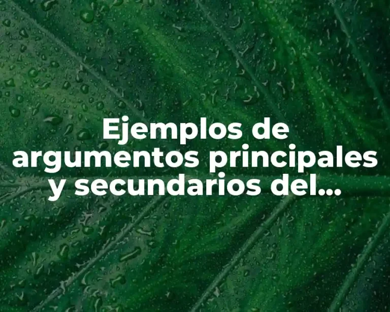 Ejemplos de argumentos principales y secundarios del aborto
