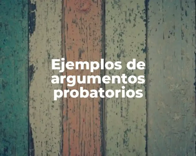 Ejemplos de argumentos probatorios