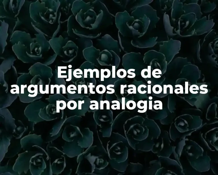 Ejemplos de argumentos racionales por analogia