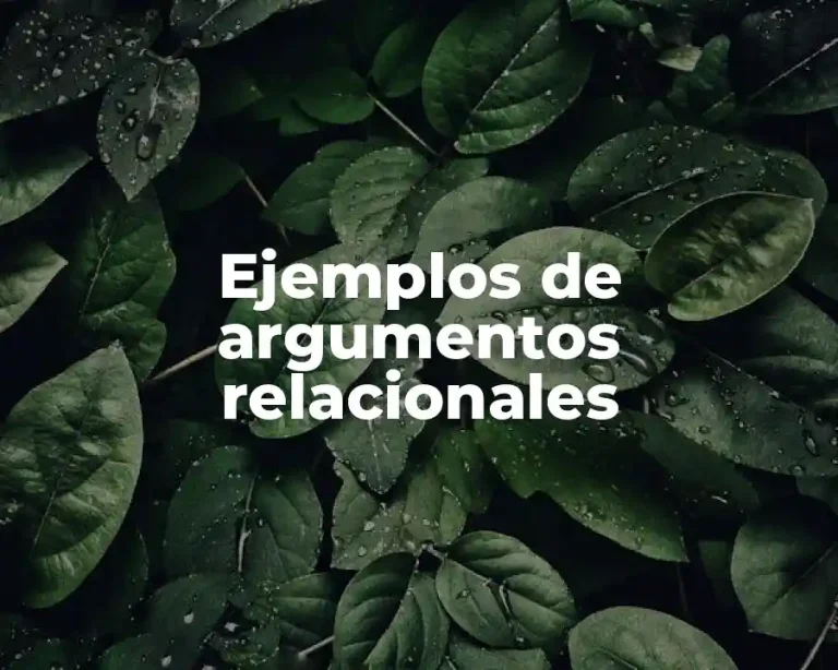 Ejemplos de argumentos relacionales