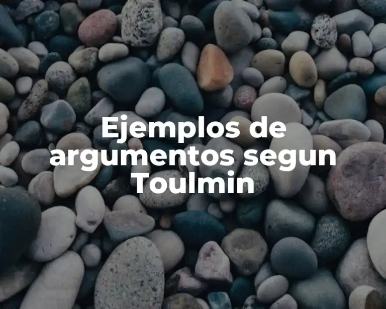 Ejemplos de argumentos segun Toulmin