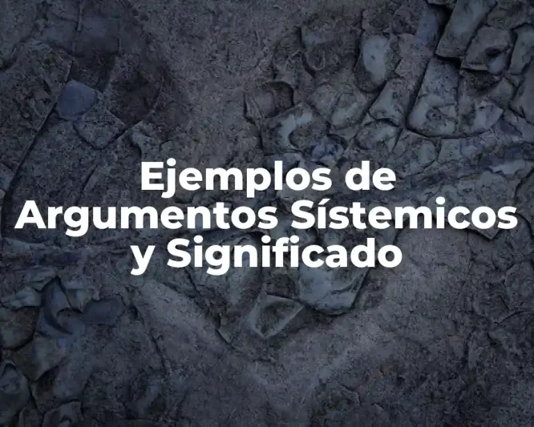 Ejemplos de Argumentos Sístemicos y Significado