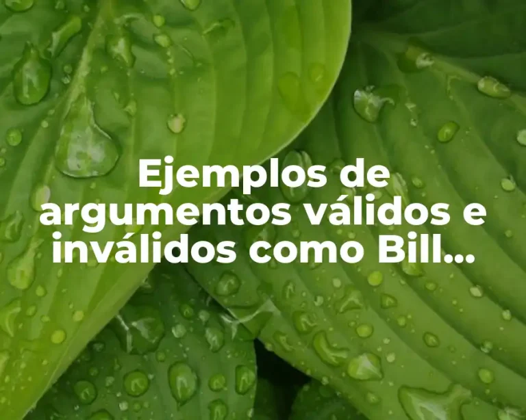 Ejemplos de argumentos válidos e inválidos como Bill Gates y Significado