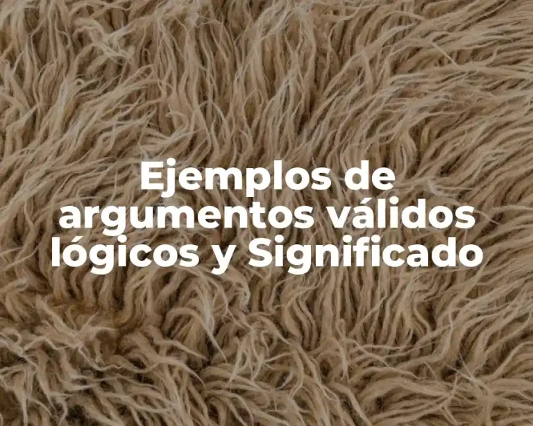 Ejemplos de argumentos válidos lógicos y Significado