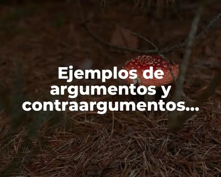 Ejemplos de argumentos y contraargumentos cortos