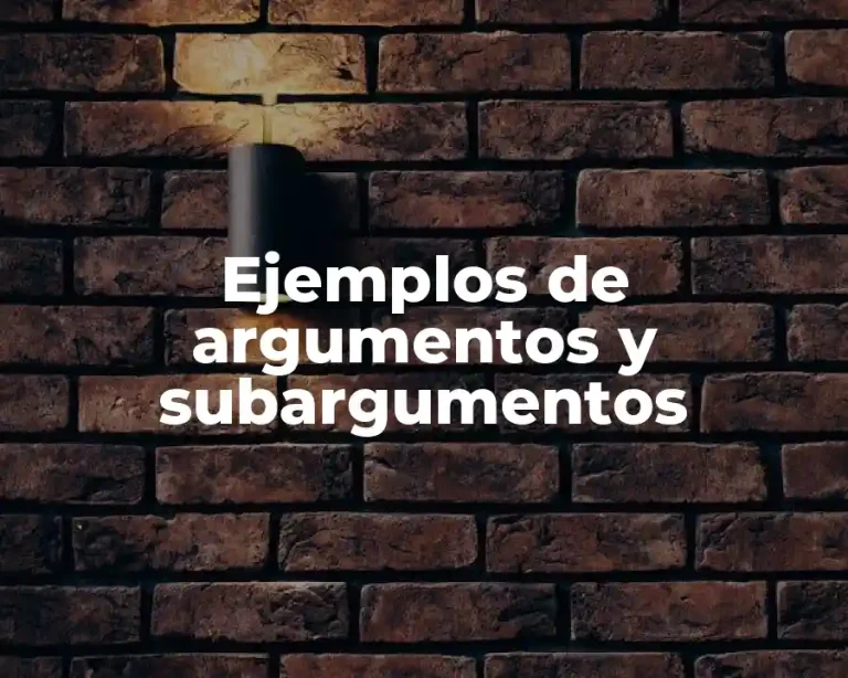 Ejemplos de argumentos y subargumentos