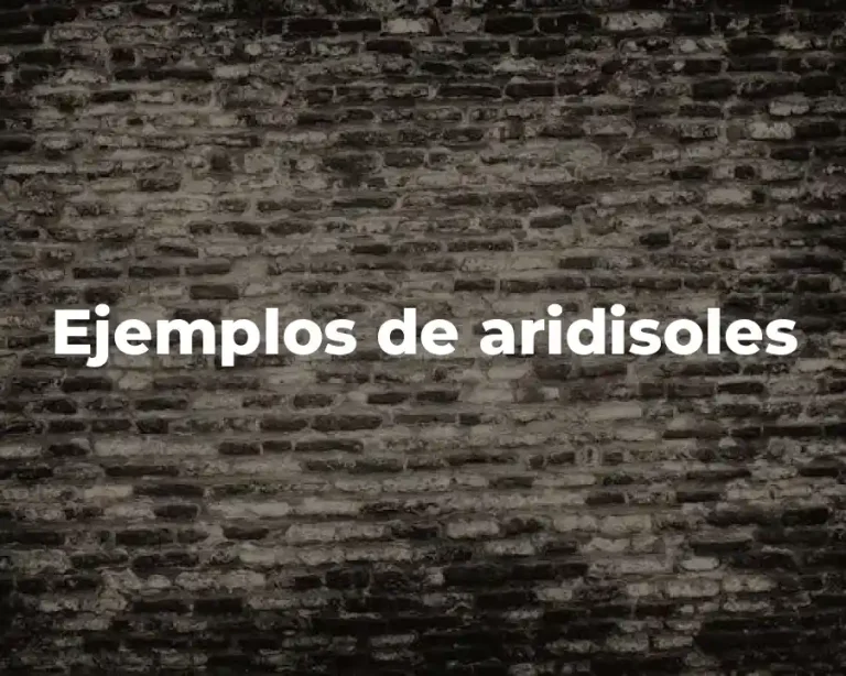 Ejemplos de aridisoles