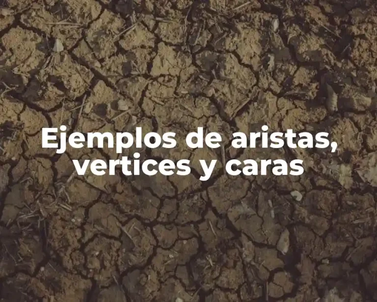 Ejemplos de aristas, vertices y caras