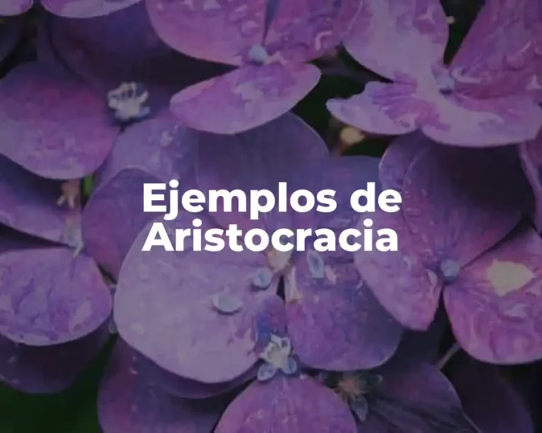 Ejemplos de Aristocracia