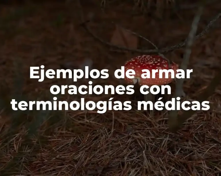 Ejemplos de armar oraciones con terminologías médicas