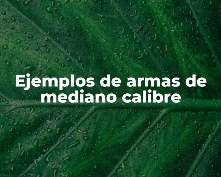 Ejemplos de armas de mediano calibre