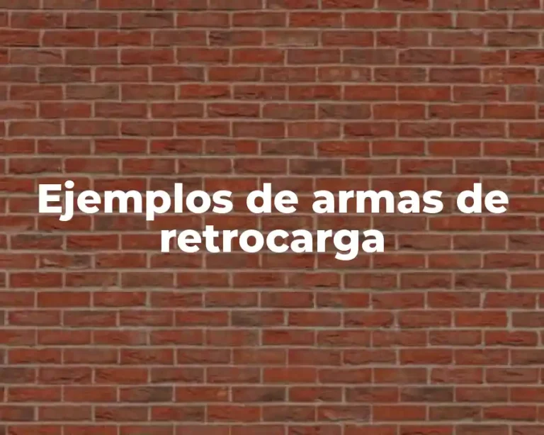 Ejemplos de armas de retrocarga