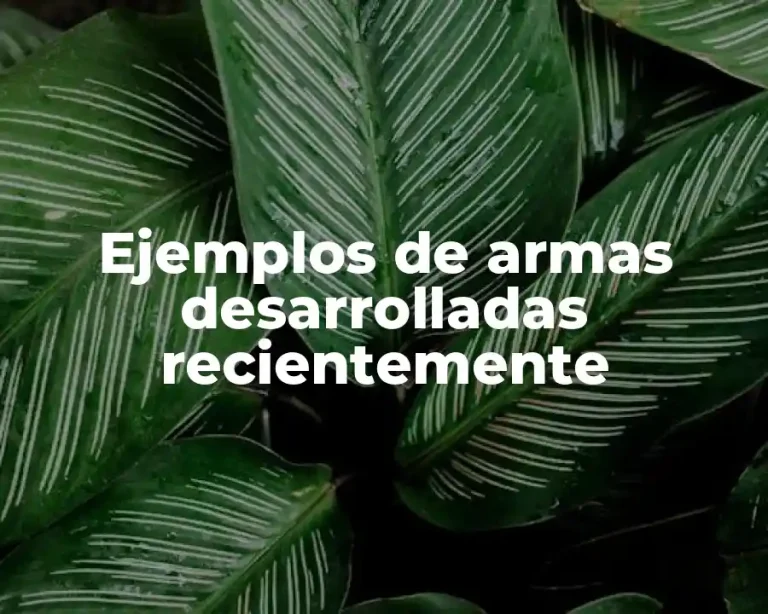 Ejemplos de armas desarrolladas recientemente