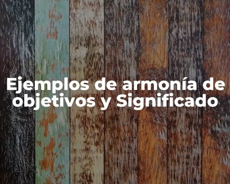 Ejemplos de armonía de objetivos y Significado