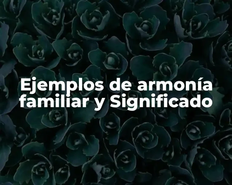 Ejemplos de armonía familiar y Significado