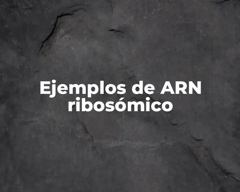 Ejemplos de ARN ribosómico