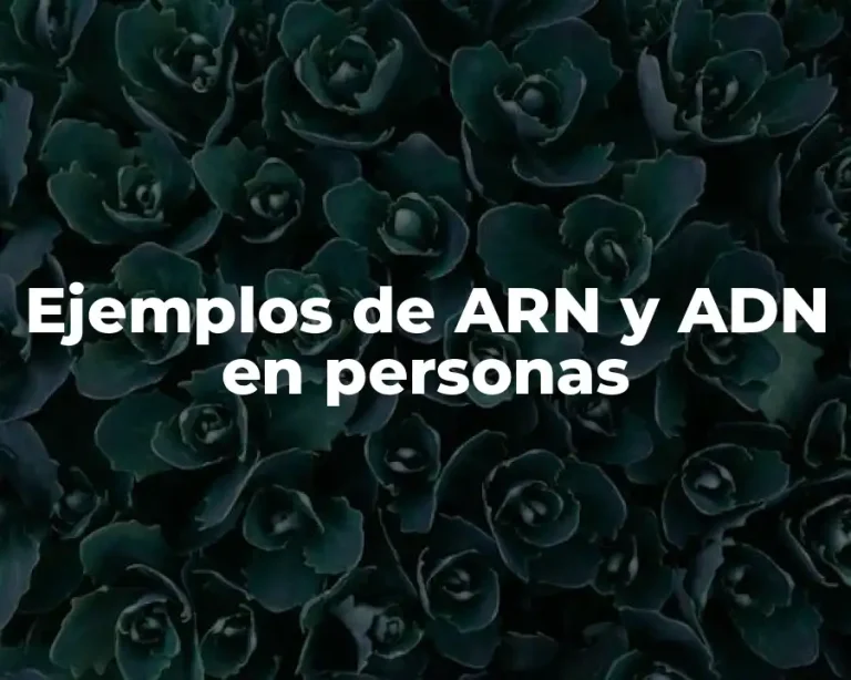 Ejemplos de ARN y ADN en personas