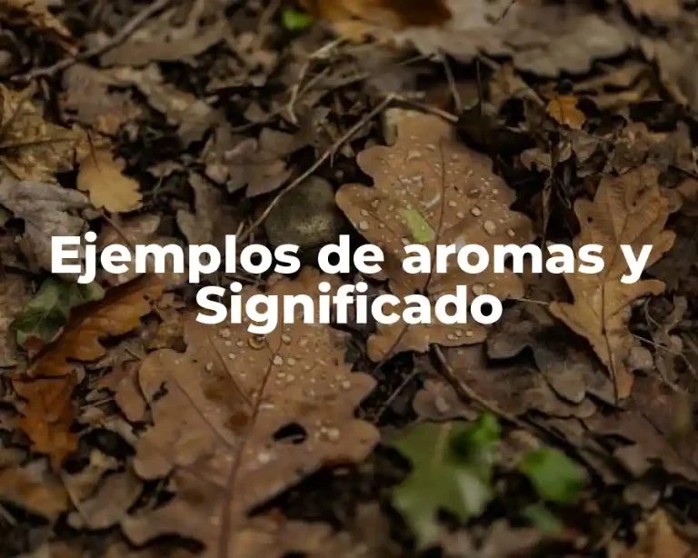 Ejemplos de aromas y Significado