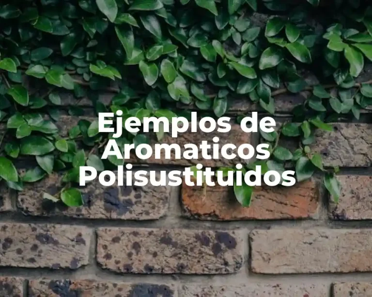Ejemplos de Aromaticos Polisustituidos