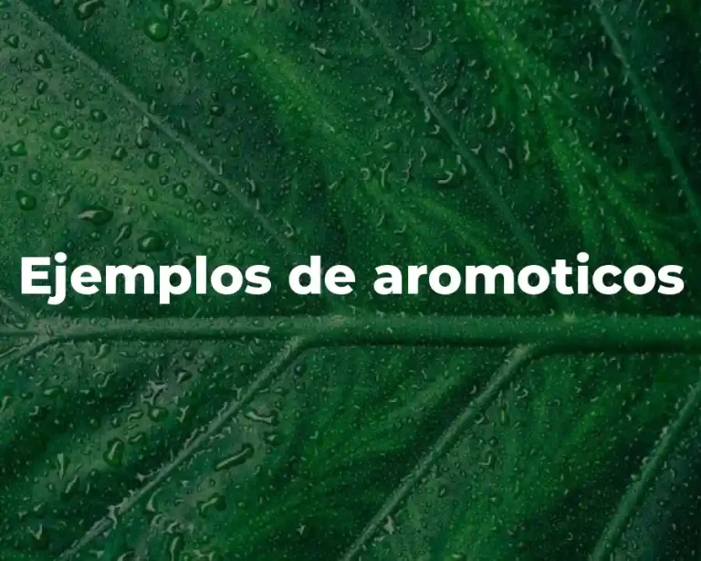 Ejemplos de aromoticos
