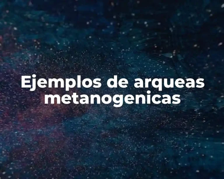 Ejemplos de arqueas metanogenicas